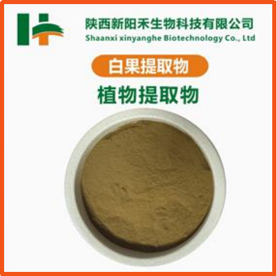 白果提取物
