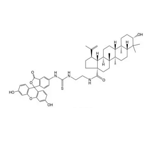 FITC-桦木酸，FITC-Betulinic Acid
