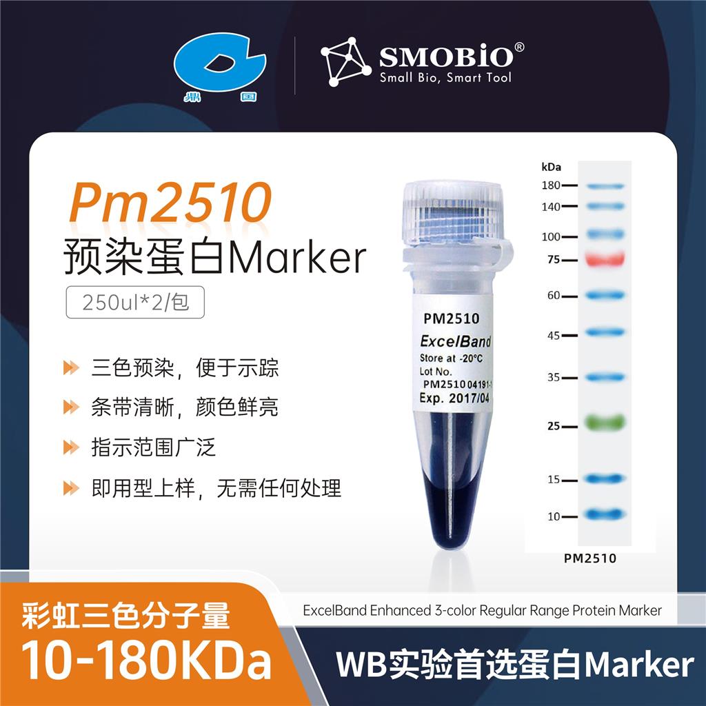 Smobio预染蛋白Marker（彩虹三色分子量：10-180KDa）PM2510
