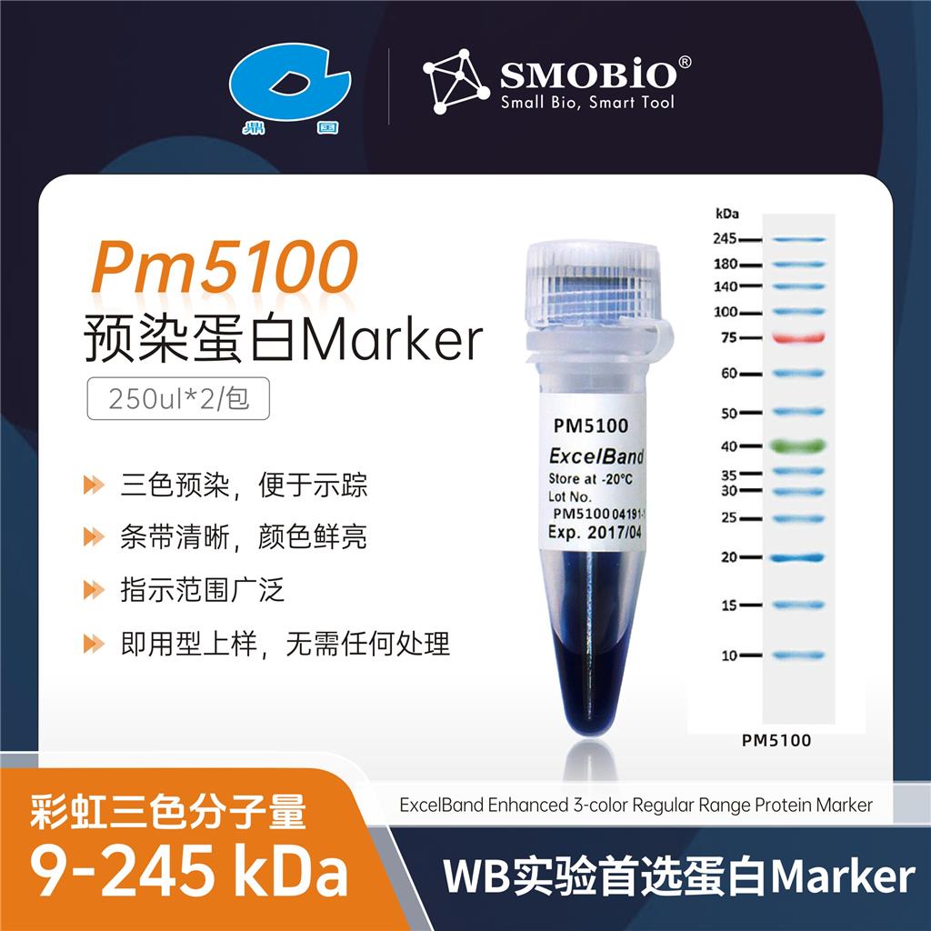 Smobio预染蛋白Marker（彩虹三色分子量：9-245 kDa）PM5100