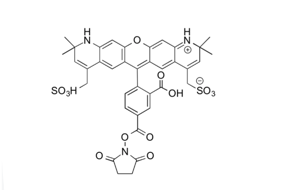 AZDye 568 NHS Ester；AZDye 568 琥珀酰亚胺酯