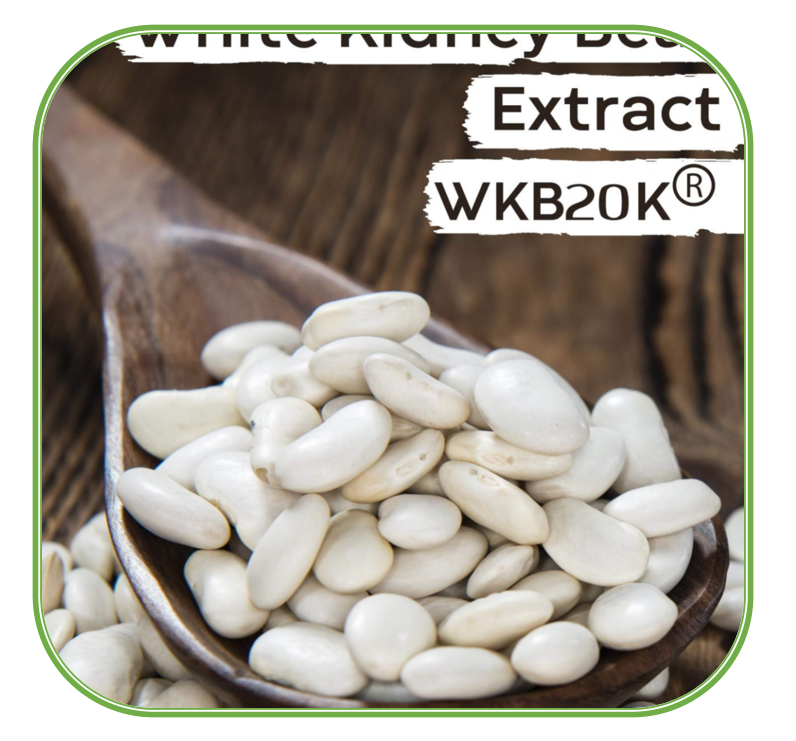 WKB20K白芸豆提取物 | 白芸豆提取物 | 体重管理天然膳食补充剂成分