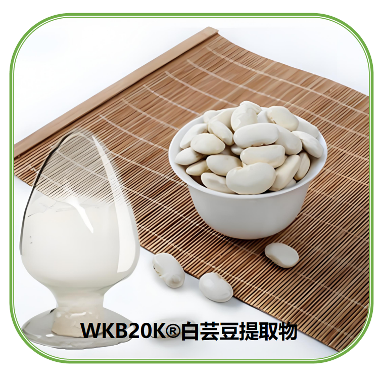 WKB20K白芸豆提取物 | 白芸豆提取物 | 体重管理天然膳食补充剂成分