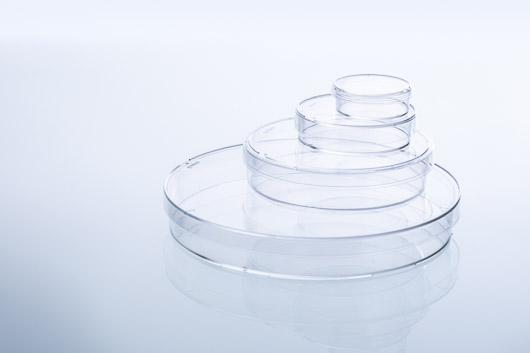 Greiner格瑞纳35x10mm细胞培养皿627160