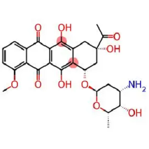 FITC-柔红霉素，FITC-Daunorubicin