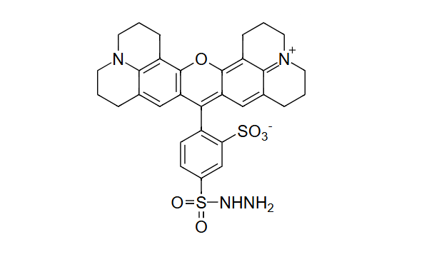 Texas Red 酰肼；Texas Red hydrazide