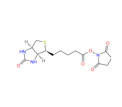 (+)生物素-N-琥珀酰亚胺基酯 35013-72-0
