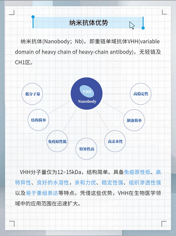 羊驼纳米抗体定制全链条服务