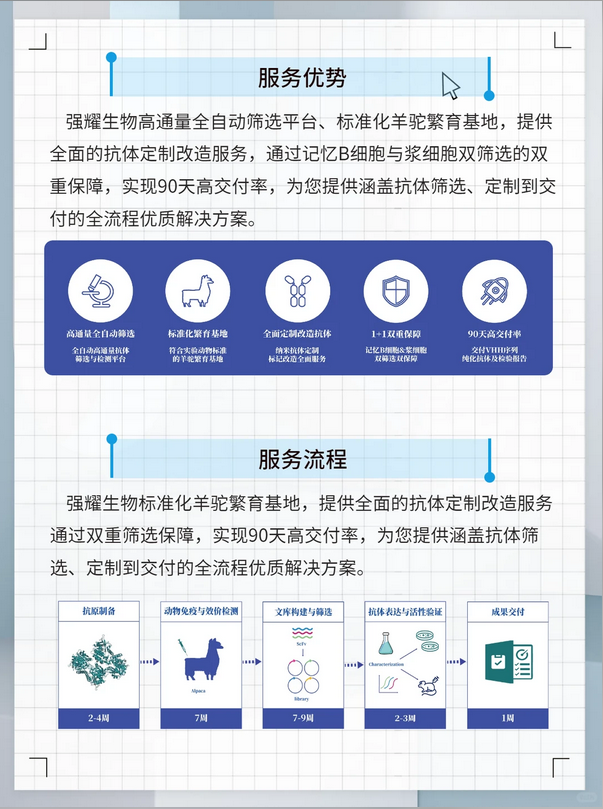 羊驼纳米抗体定制全链条服务