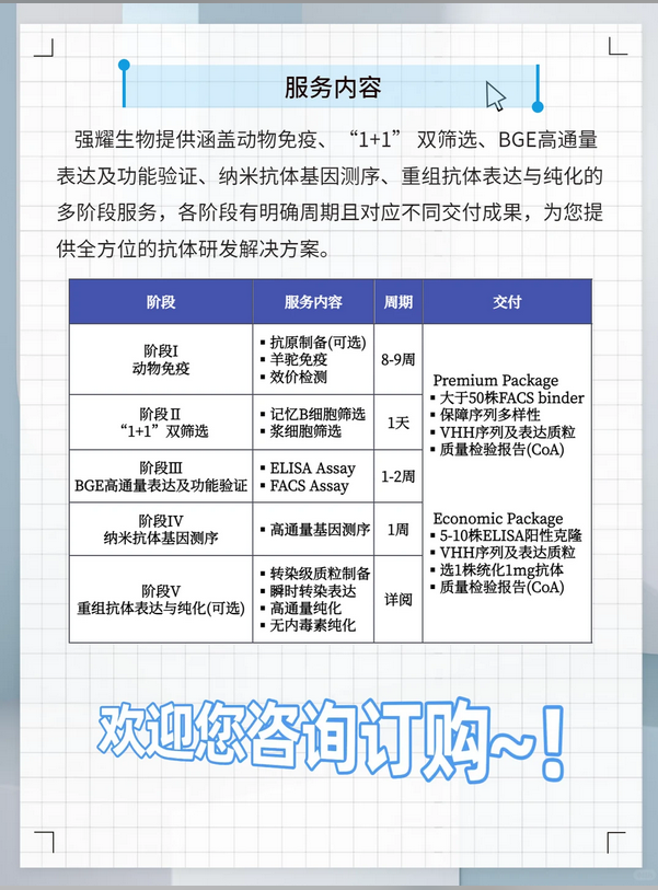 羊驼纳米抗体定制全链条服务