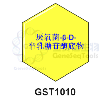 厌氧菌-β-D半乳糖苷底物 (GST1010)