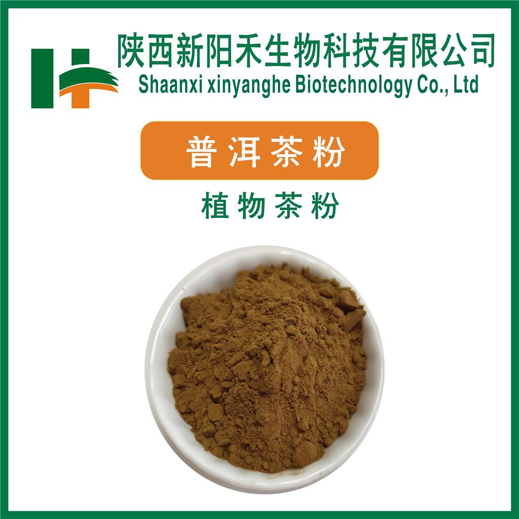 普洱茶提取物     普洱茶粉