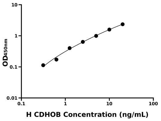 人造骨细胞钙黏蛋白 (CDHOB).jpg