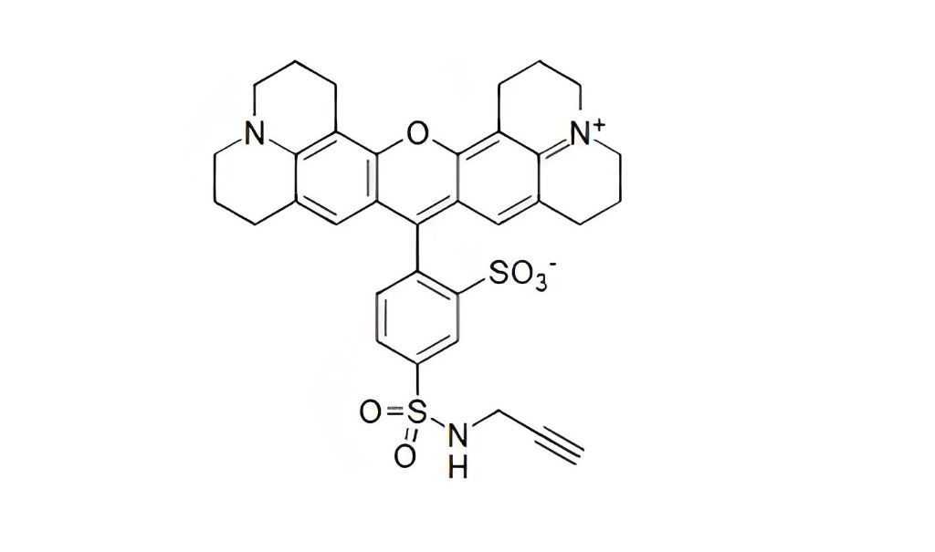 Texas Red alkyne；Texas Red 炔基