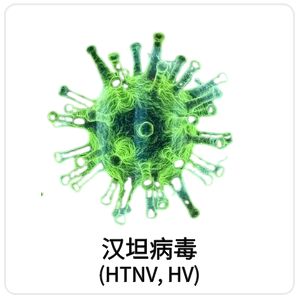 汉坦病毒(HTNV, HV)相关抗原抗体