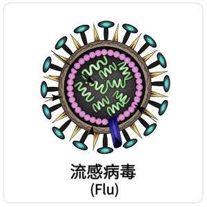 流感病毒 (Flu)相关抗原抗体