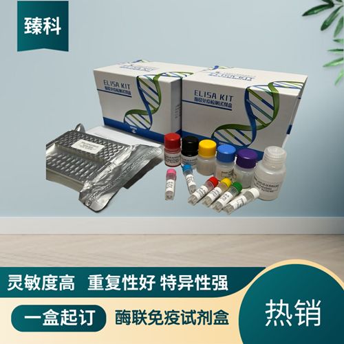 卡那霉素(Kanamycin)ELISA试剂盒