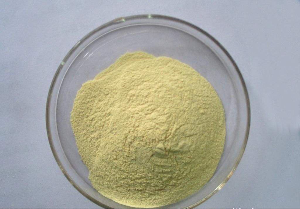 二甲苯磺酸拉帕替尼，388082-78-8