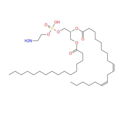 26662-95-3 1-Palmitoyl-2-linoleoyl PE