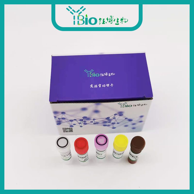 Beauveria bassiana球孢白僵菌染料法荧光定量PCR试剂盒 YB-70151DPR