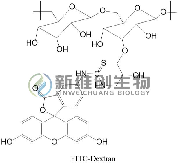 异硫氰酸荧光素葡聚糖MV：4000/FITC-葡聚糖/异硫氰酸荧光素标记葡聚糖/FITC-Dextran/科研级绿色荧光示踪探针/生物相容性荧光标记多糖
