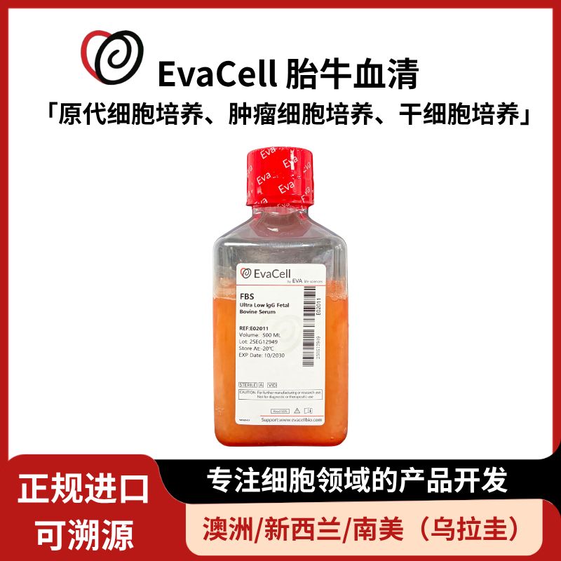 超低IgG胎牛血清