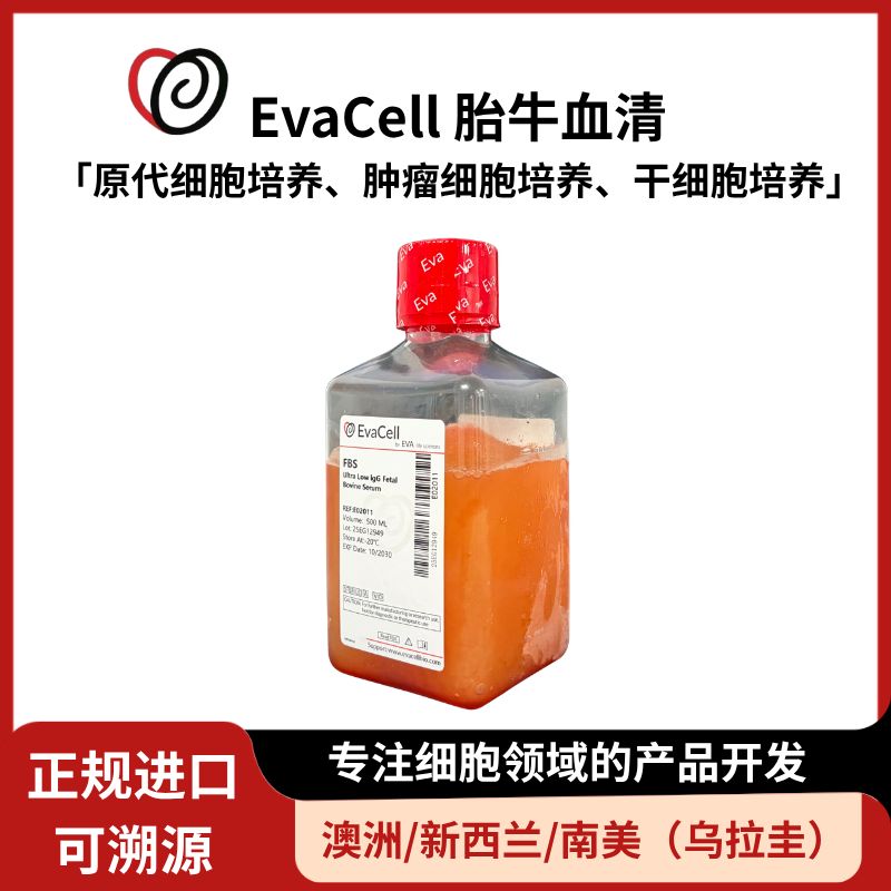 超低IgG胎牛血清