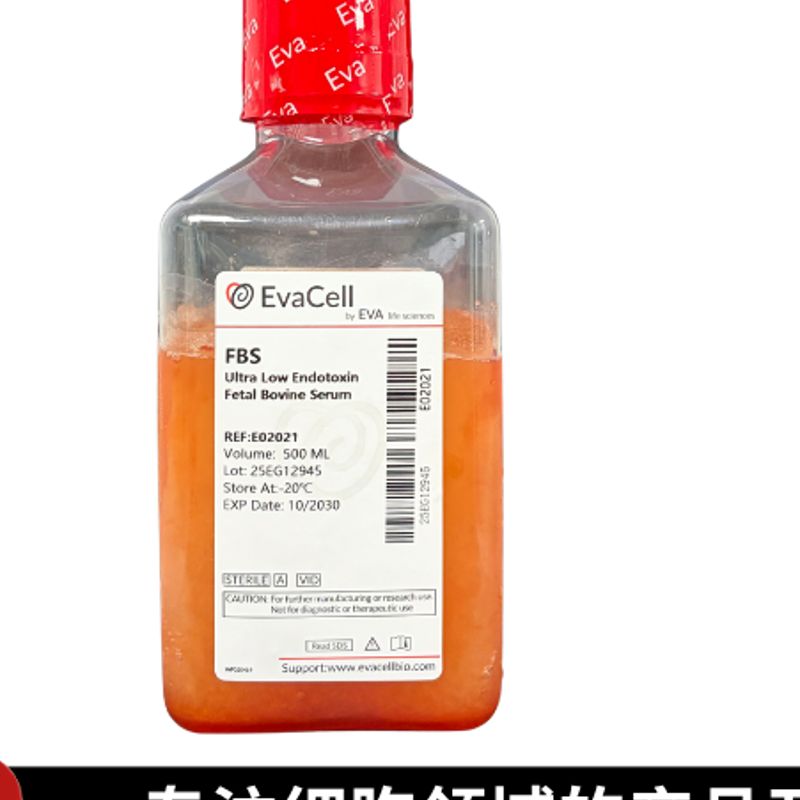 超低内毒素胎牛血清