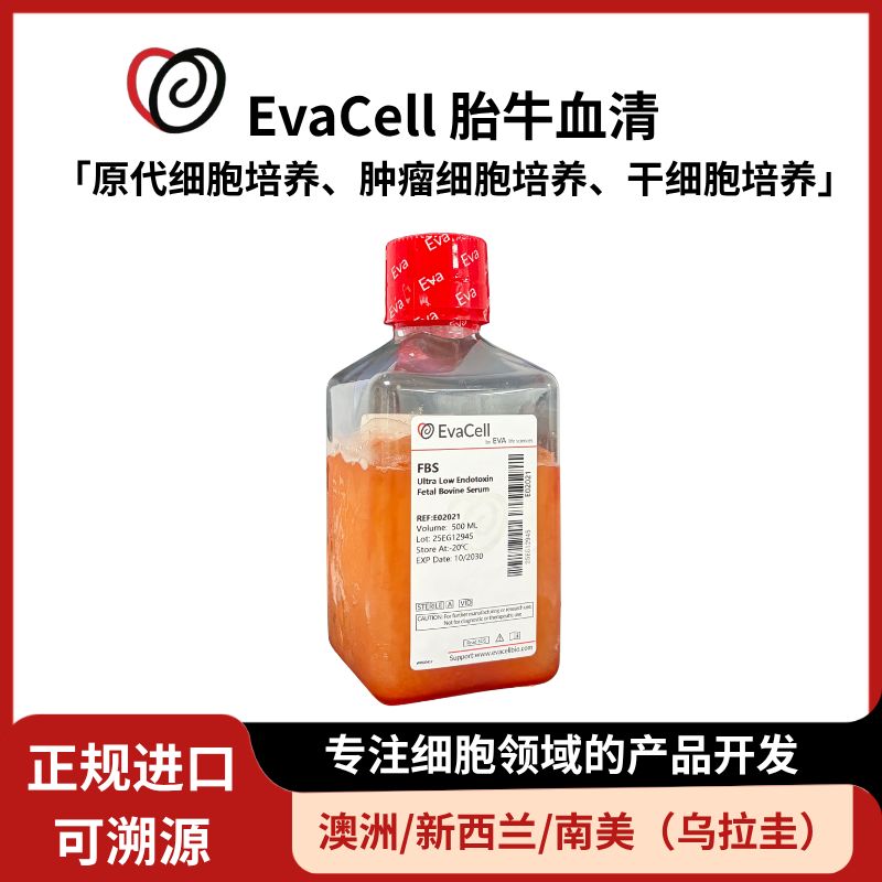 超低内毒素胎牛血清