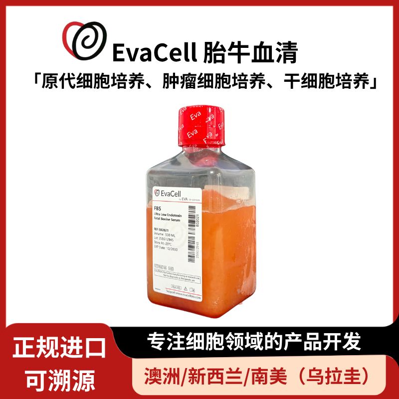 超低内毒素胎牛血清