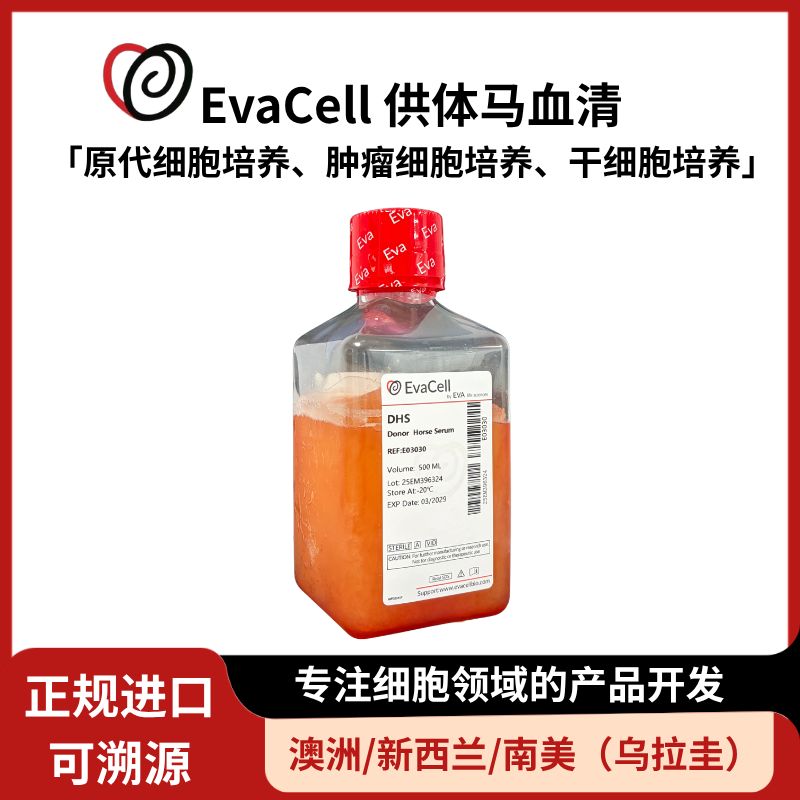 供体马血清