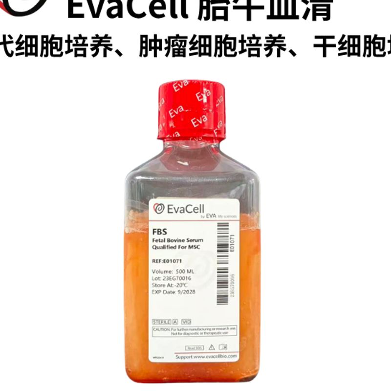 间充质干细胞专用胎牛血清