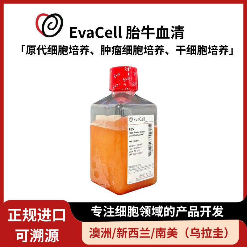 间充质干细胞专用胎牛血清