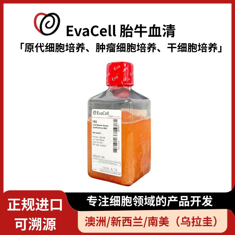 间充质干细胞专用胎牛血清