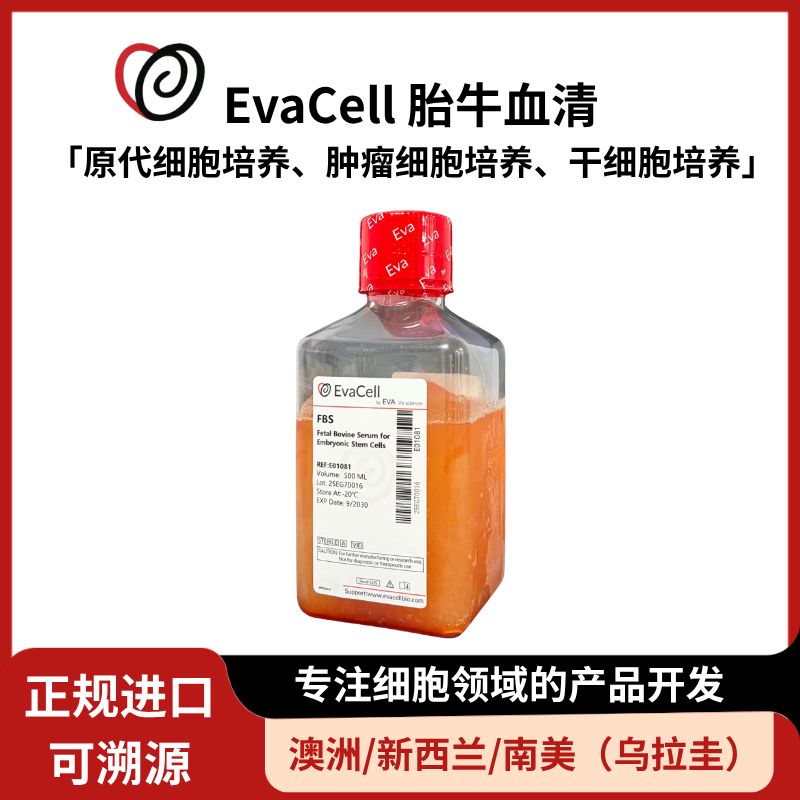 胚胎干细胞专用胎牛血清