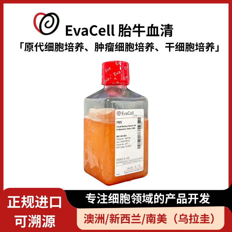 胚胎干细胞专用胎牛血清