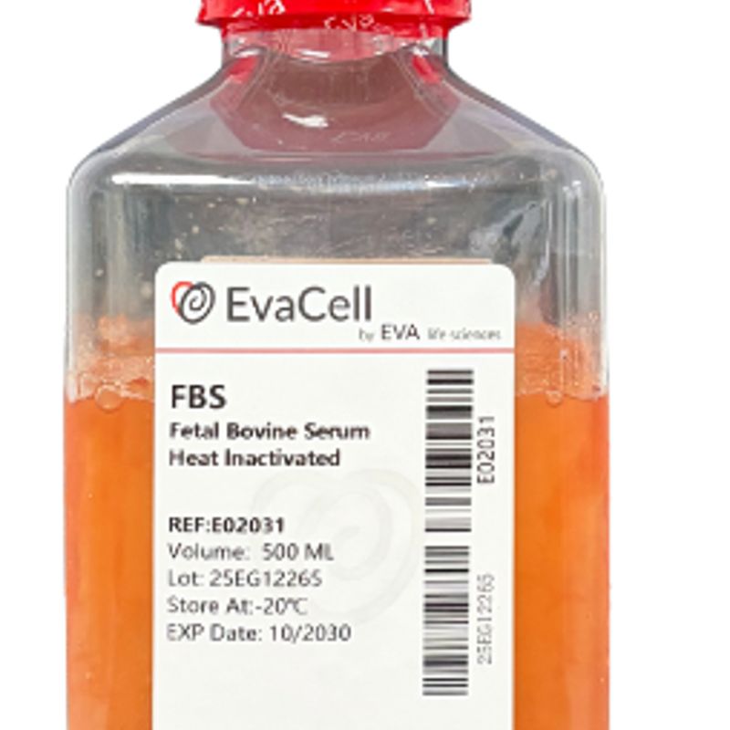 热灭活胎牛血清