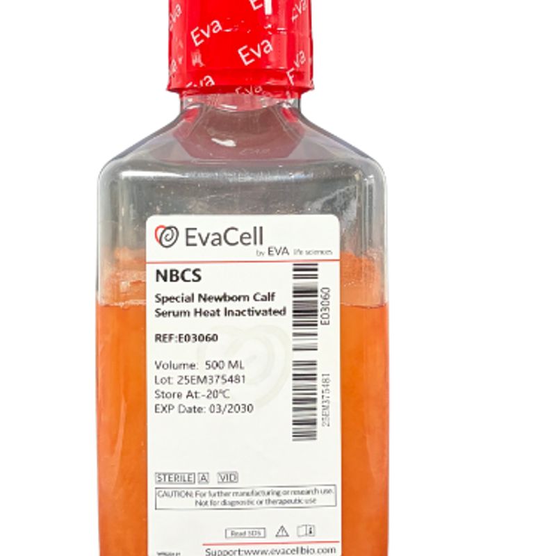 热灭活新生牛血清