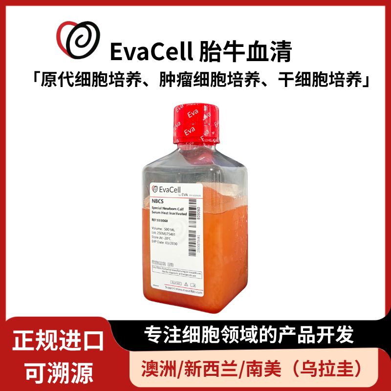 热灭活新生牛血清