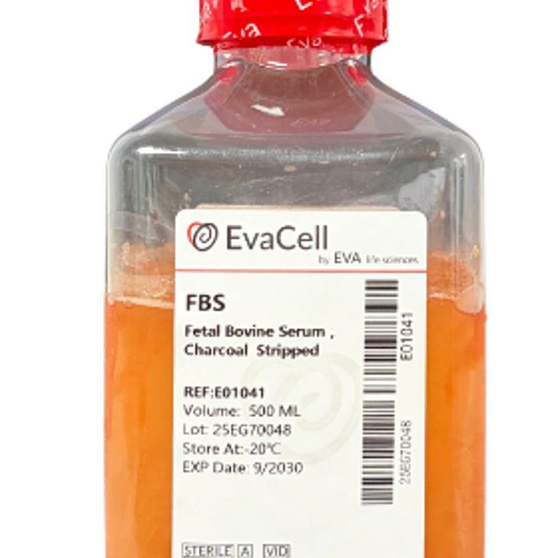 碳吸附胎牛血清
