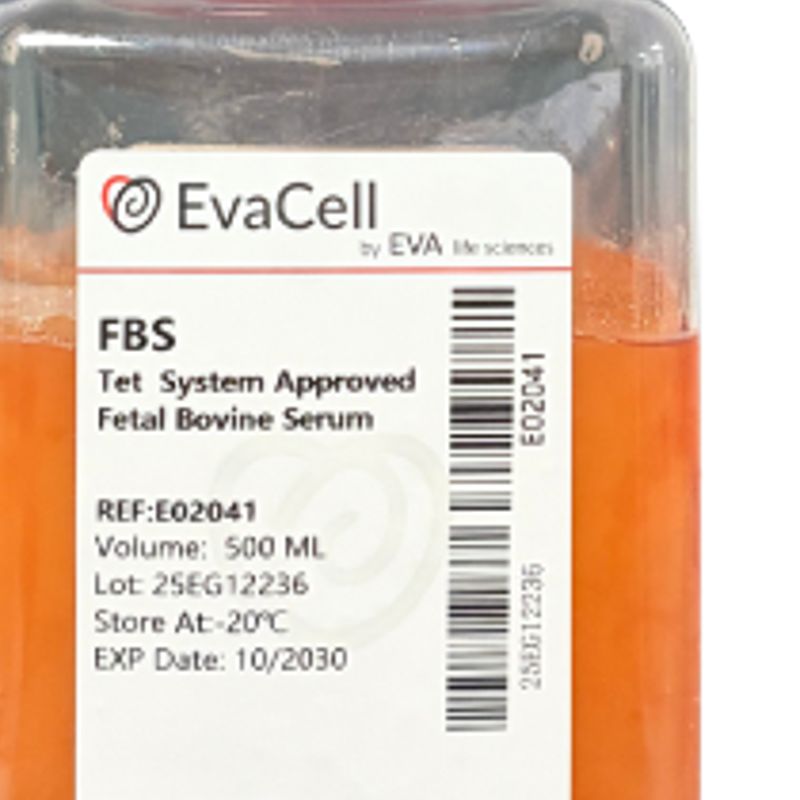 四环素阴性胎牛血清