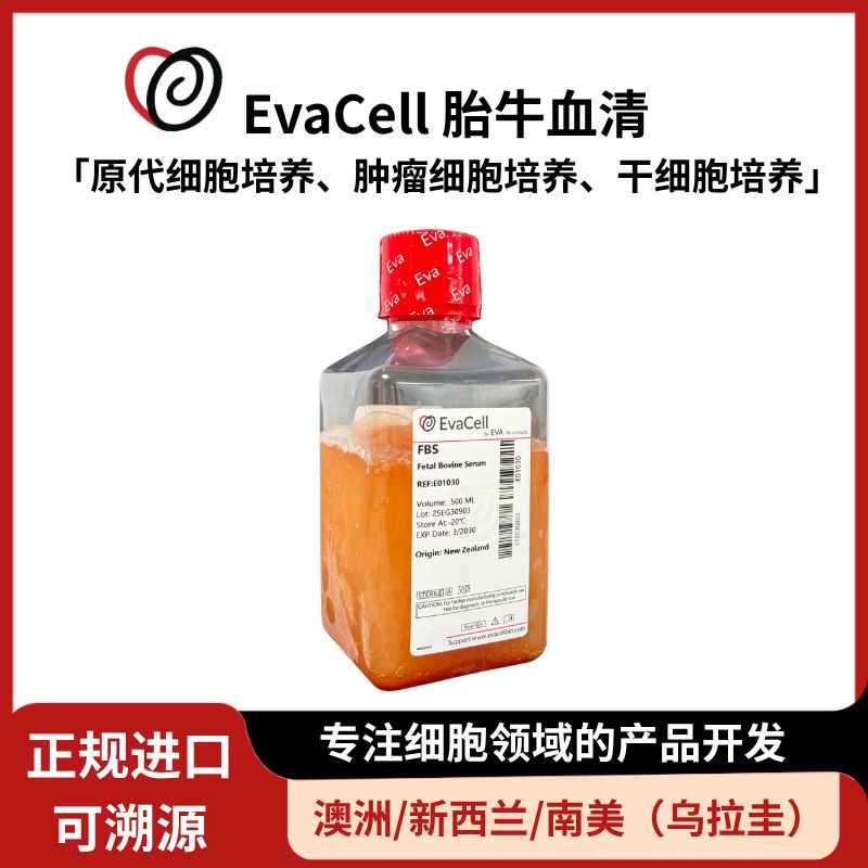 特级胎牛血清(新西兰)