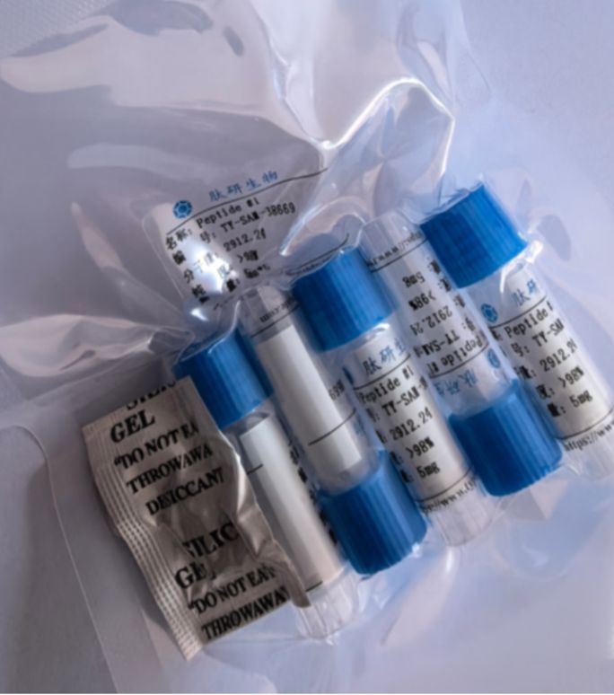 β-折叠破坏多肽/339990-02-2/Ac-[Pro18, Asp21] β- Amyloid (17 - 21), amide, iAb5p Pro18 Asp21