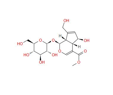 27530-67-2 鸡矢藤次苷甲酯
