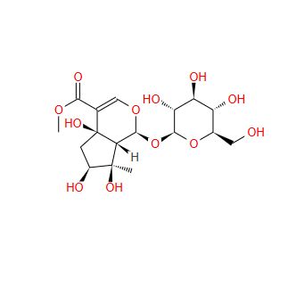 27856-54-8 野芝麻新苷