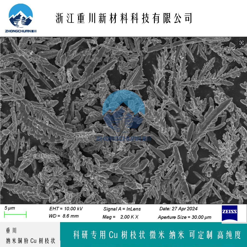 纳米铜粉 导电铜粉 多晶型通风呢 浙江重川新材料