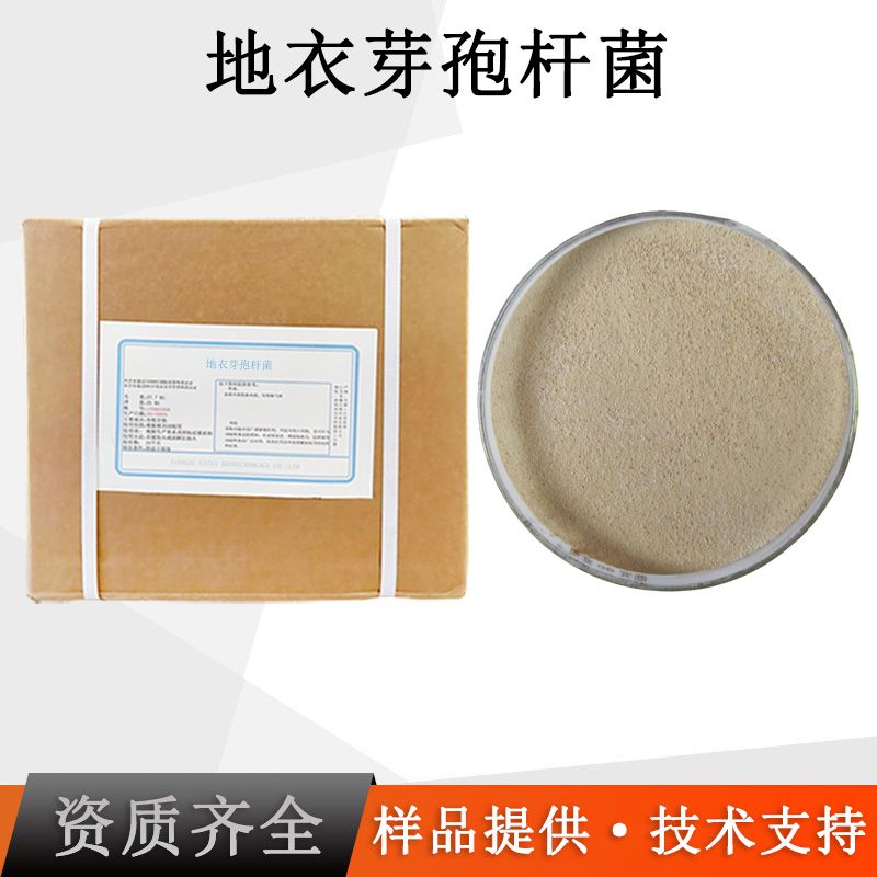 地衣芽孢杆菌