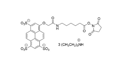 AZDye 405 NHS Ester；AZDye 405 琥珀酰亚胺酯