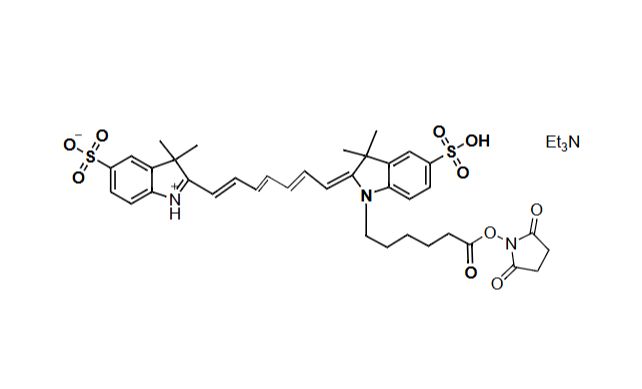 CypHer7E NHS Ester；CypHer7E 琥珀酰亚胺酯