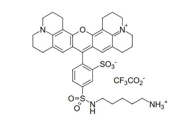 Texas Red cadaverine；Texas Red 尸胺